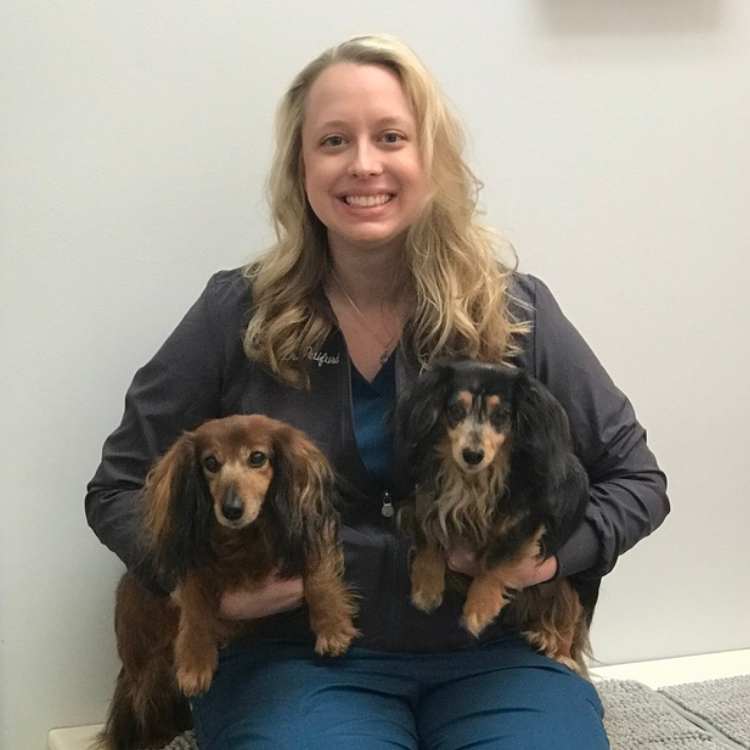 Dr. Teri Petifurd Dr. Teri Petifurd