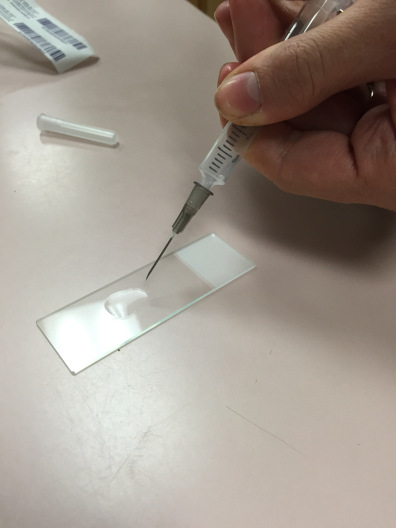 Technician testing with syringe and slide